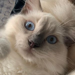 Meet your Posher, Matthew